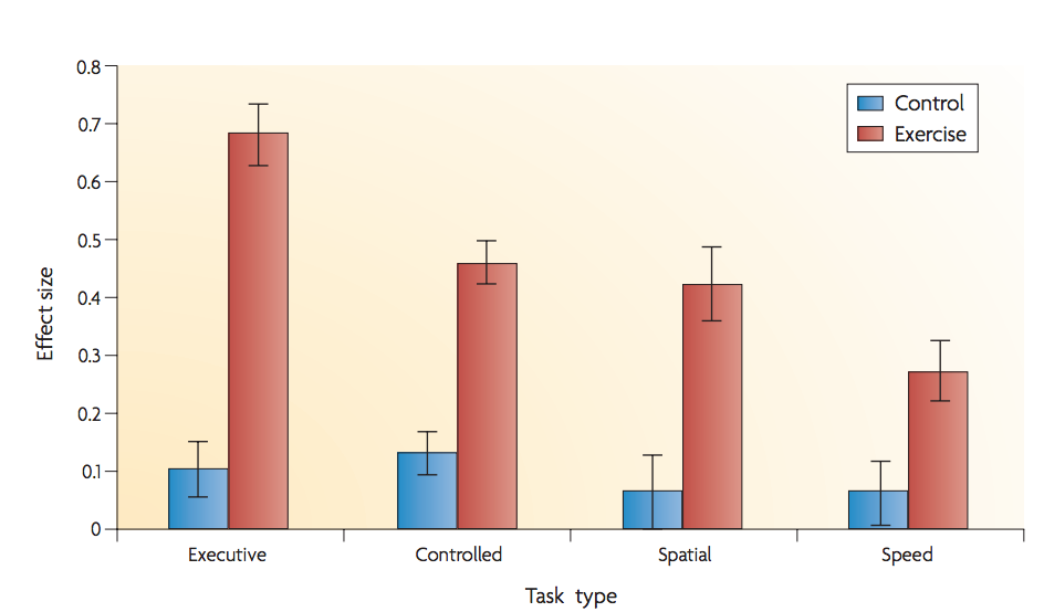 Exercise Effects