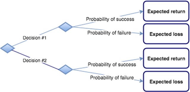 The way Elon Musk uses to make decisions.